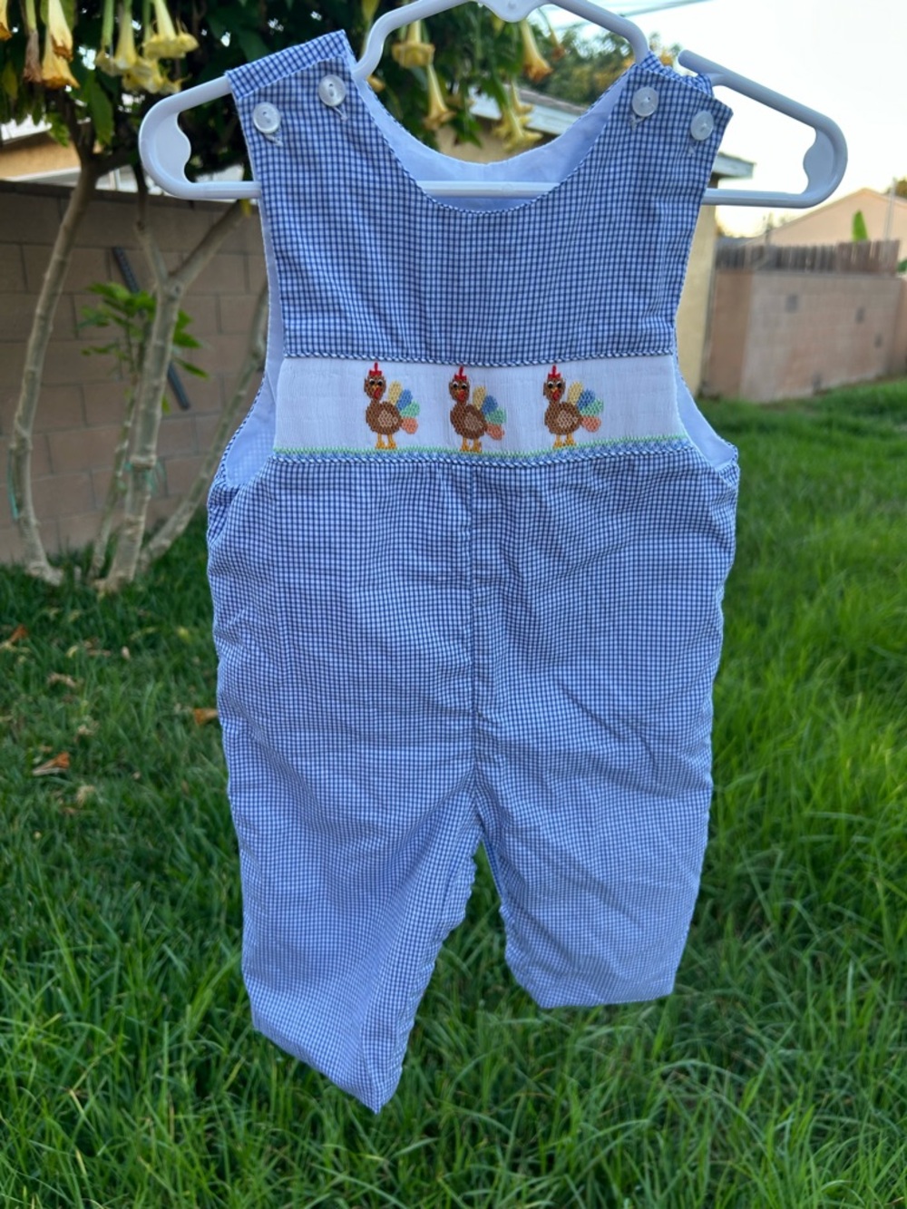 Petit Bebe Blue Gingham Smocked Turkey Overalls